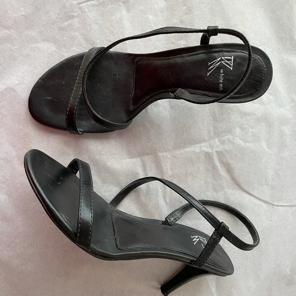 White Mountain pumps